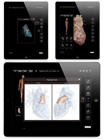 iPad Screenshot 5