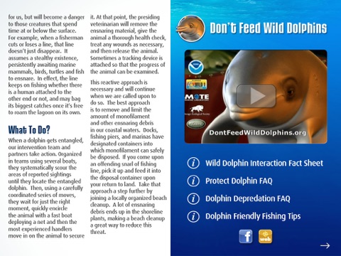 iPad Screenshot 2