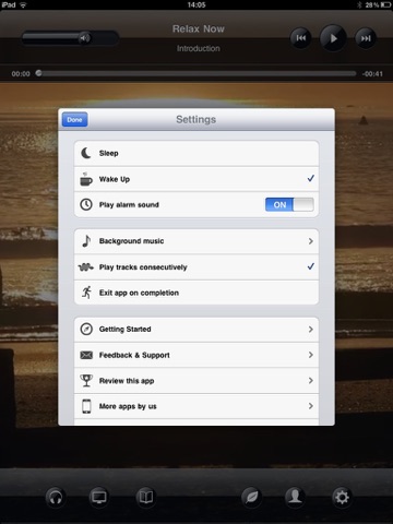 iPad Screenshot 4