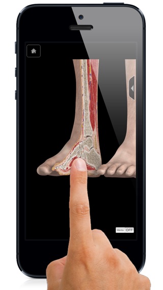 iPhone Screenshot 1