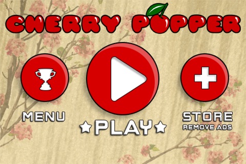 iPhone Screenshot 5