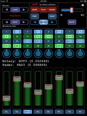 iPad Screenshot 2