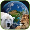Amazing Earth 3D - Wild Friends