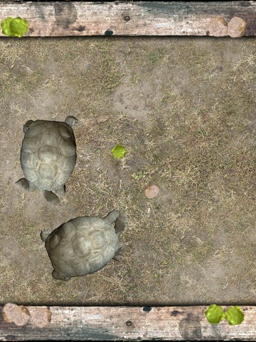 iPad Screenshot 2