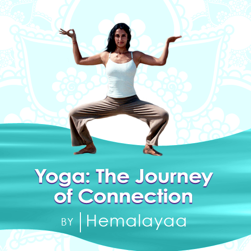 Yoga: The Journey of Connection