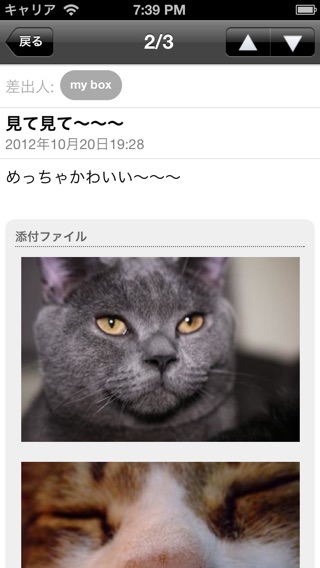 iPhone Screenshot 5