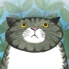 Mog the Forgetful Cat