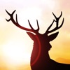 Deer Runner - Escape the Hunter Spiel