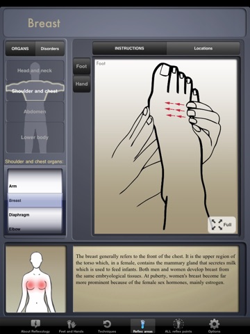 iPad Screenshot 2
