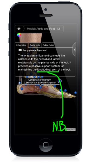 iPhone Screenshot 2