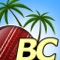 Beach Cricket Pro