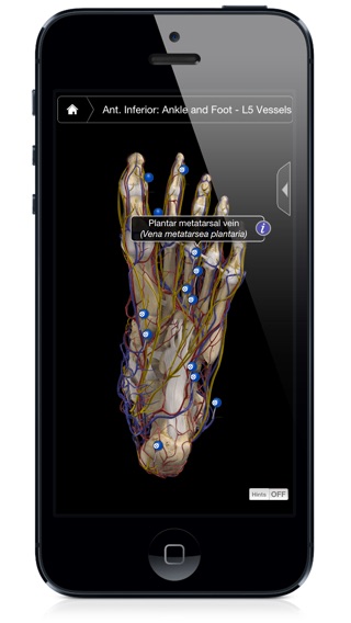 iPhone Screenshot 4