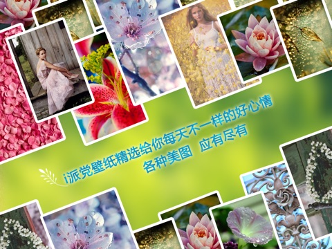 iPad 屏幕截图 1