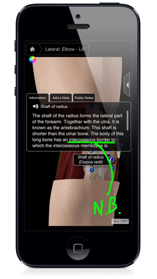 iPhone Screenshot 2