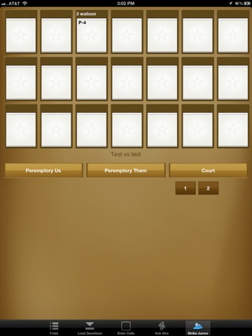 iPad Screenshot 5