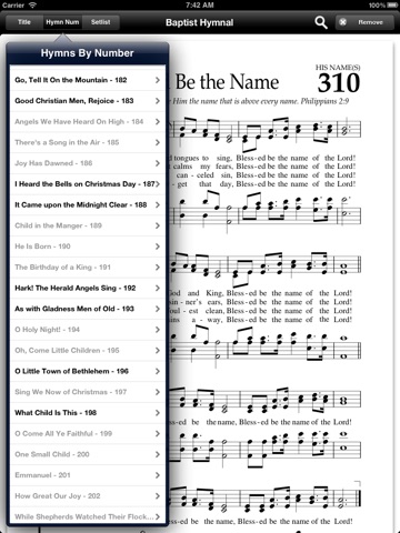 iPad Screenshot 2