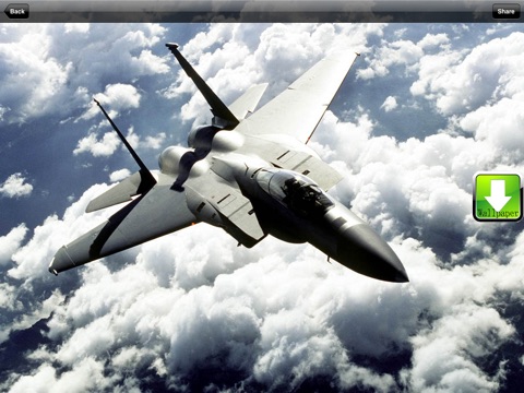 iPad Screenshot 4