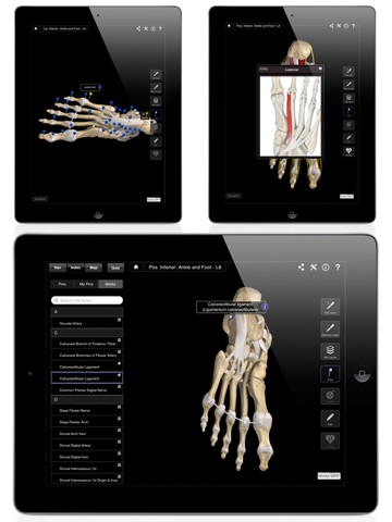 iPad Screenshot 4