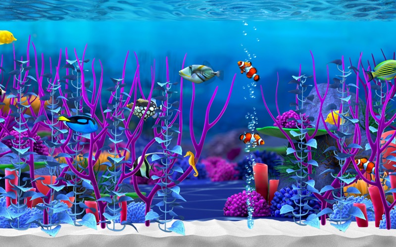 aquarium screensaver mac