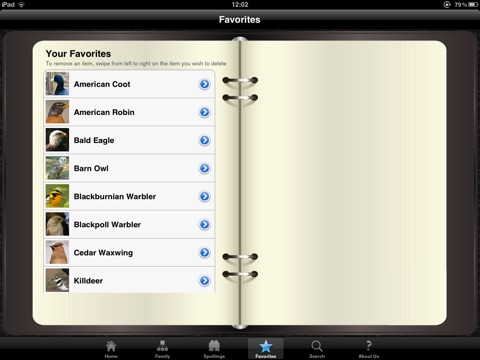 iPad Screenshot 4