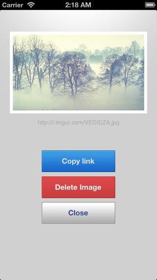 iPhone Screenshot 3