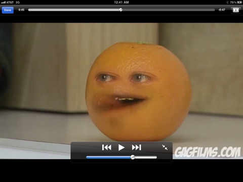 iPad Screenshot 4