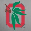 Buckeyes Unite