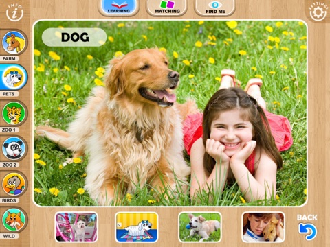 iPad Screenshot 3