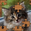 app_icon