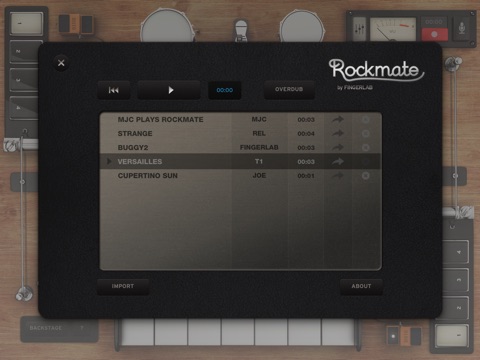 iPad Screenshot 4