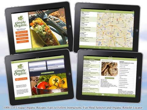 iPad Screenshot 4