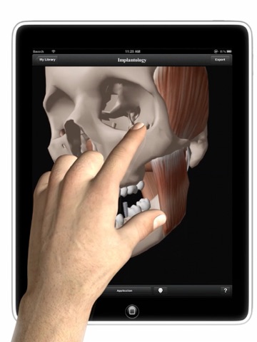 iPad Screenshot 2