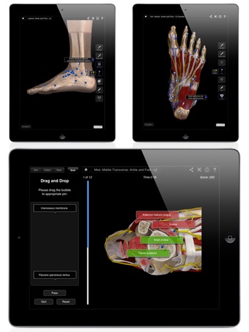 iPad Screenshot 3