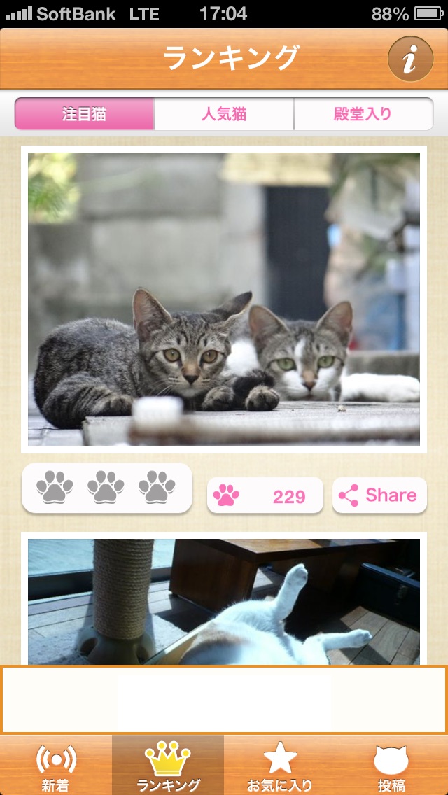 ねこまみれ  -かわいい猫写真が見放題！「ねこのきもち」公式アプリ-のおすすめ画像3