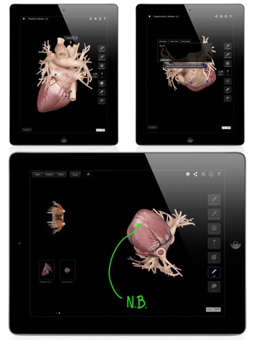 iPad Screenshot 4