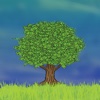 The Money Tree money tree 