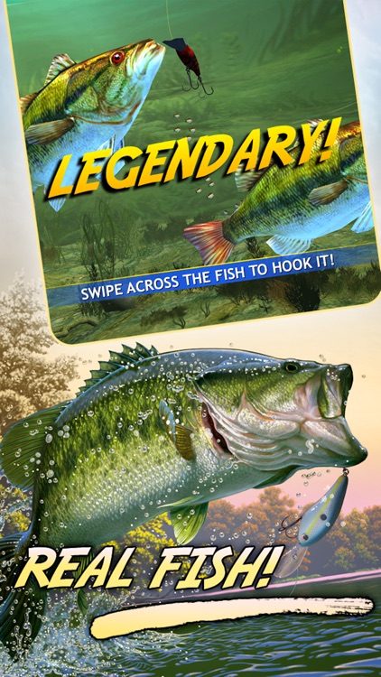 Bass Pro Shops: The Strike Pro Angler by Outdoor Partners LLC