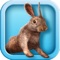 Bunny Simulator