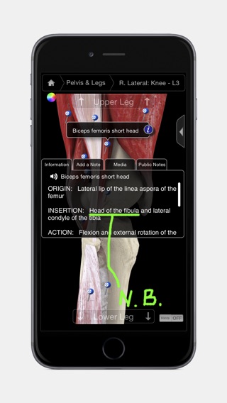 iPhone Screenshot 2