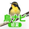 鳥ナビ~1年で120種類の野鳥と出会えるガイド・初夏編