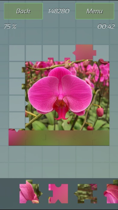 Flowers Best Puzzles screenshot1