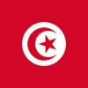 الكرة التونسية