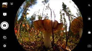 魚眼レンズ (Fisheye Lens) ... screenshot1