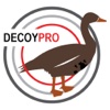 Specklebelly Goose Hunting Decoy Spreads -DecoyPro nfl point spreads 