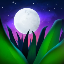 Relax melodies P: bien dormir, sommeil zen, yoga