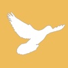 My Pigeon App - Manage Your Racing Pigeon Loft wilderness resort pigeon forge 