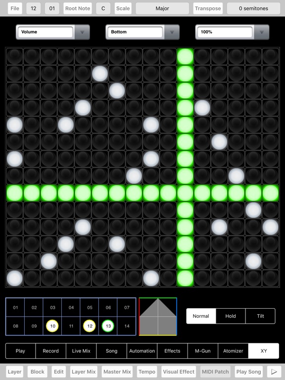 iPad Screenshot 5
