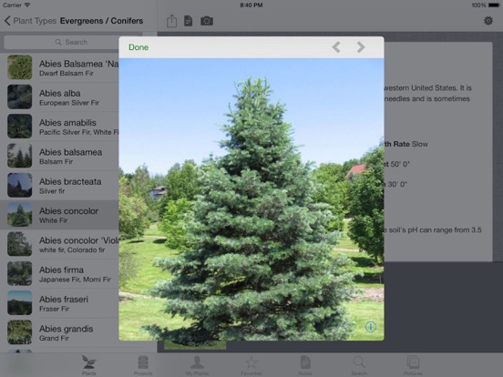 iPad Screenshot 3