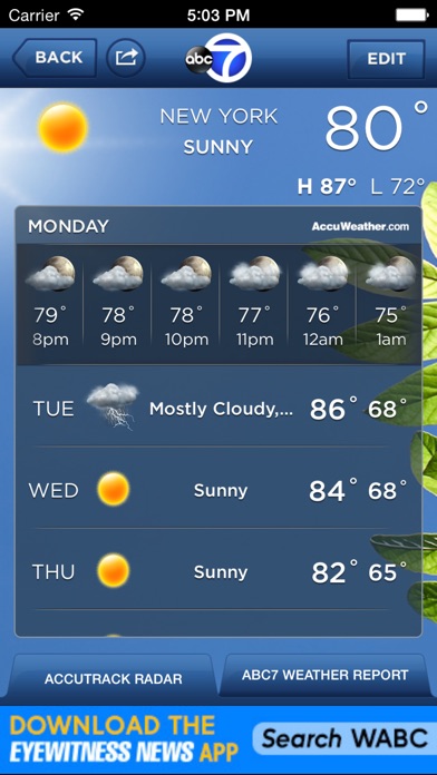 iPhone Screenshot 3