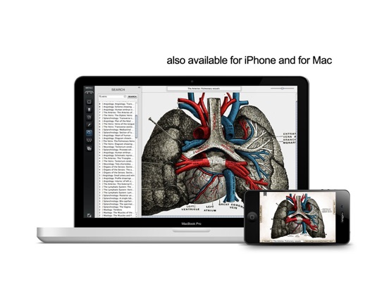iPad Screenshot 5